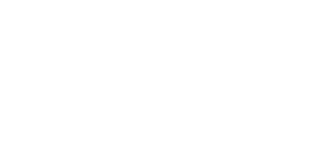 永乐高60net佳味LOGO 320x160-2.png